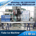 FOCUSUN 30 tons containerized flake ice machine for fishing/meat/seaweed